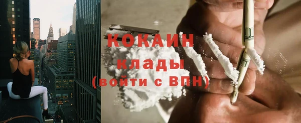 дживик Белокуриха