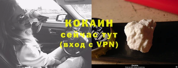 прущие грибы Белоозёрский