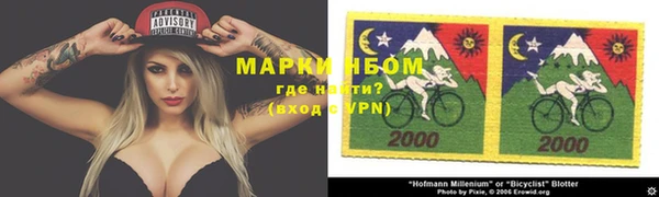 прущие грибы Белоозёрский