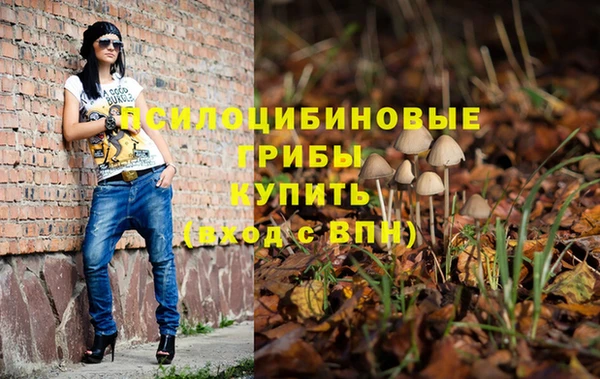 прущие грибы Белоозёрский