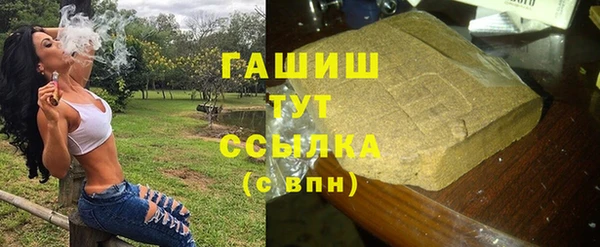 дживик Белокуриха