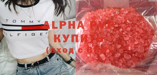 дживик Белокуриха