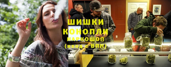 дживик Белокуриха