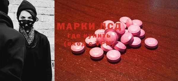 прущие грибы Белоозёрский