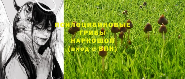 прущие грибы Белоозёрский