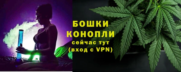 прущие грибы Белоозёрский