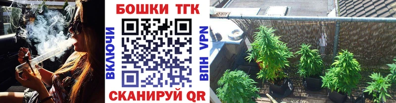 Бошки Шишки SATIVA & INDICA  купить наркоту  Дудинка 